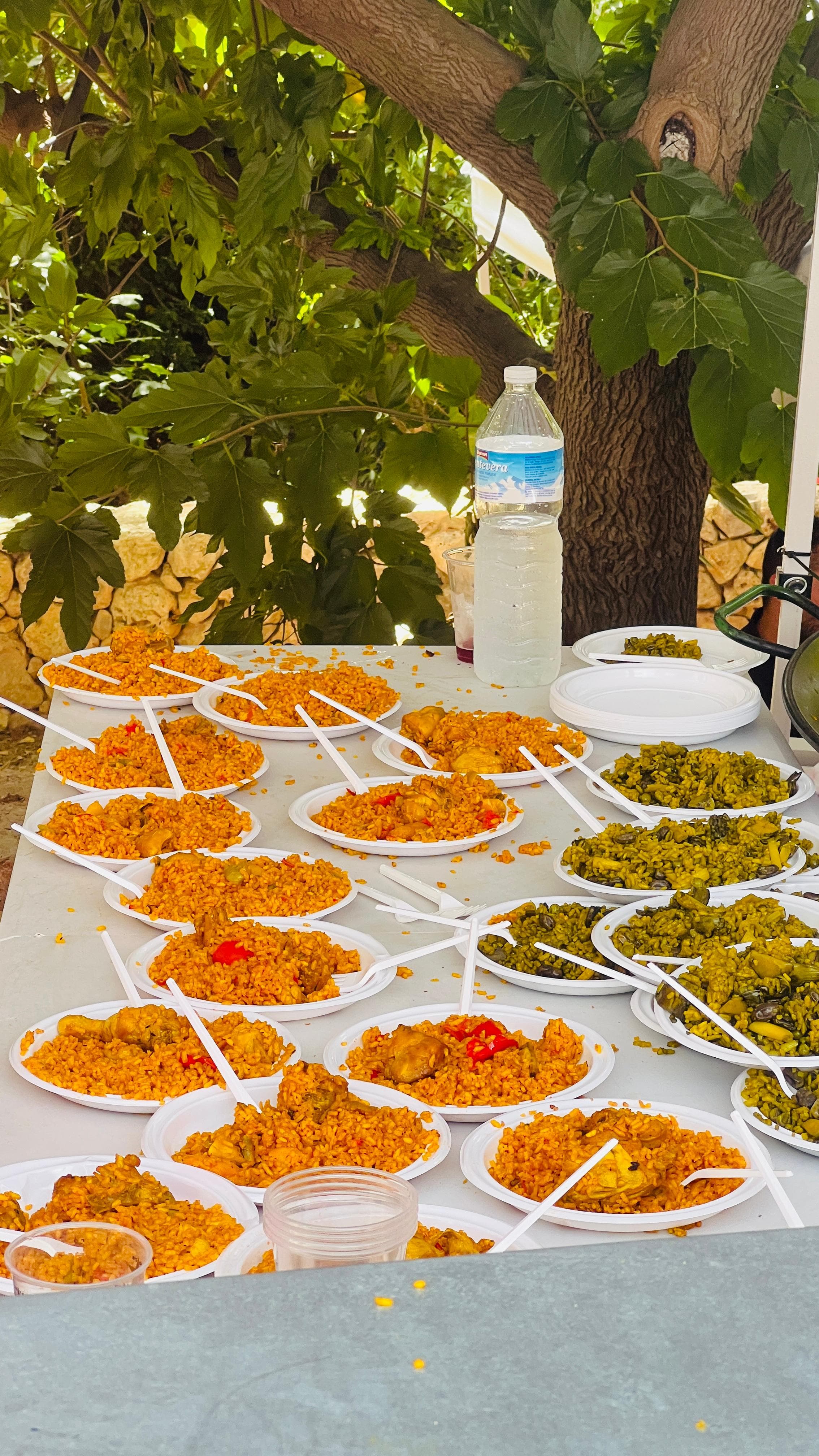 La Tomatina 2025 memory 7