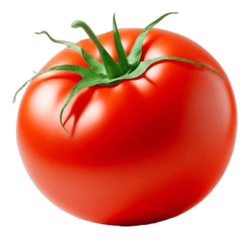 Tomato